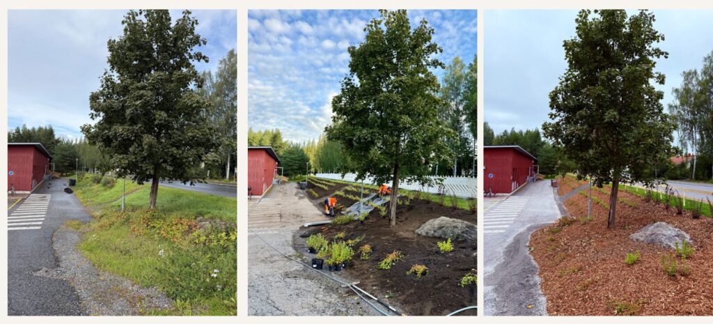 Kuvasarja Alltimen Kurikansiiven päiväkodin rinteen perusparannuksesta