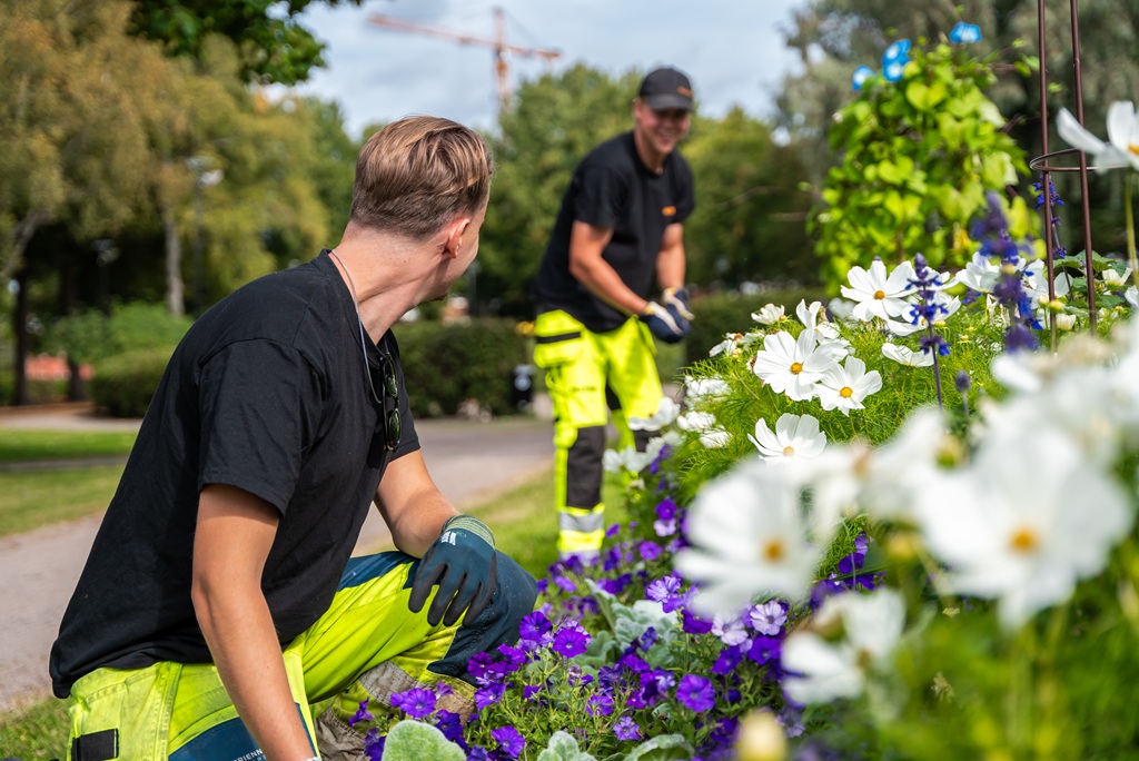 Alltime viherpalvelut